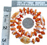Sterling Silver Oyster Shell Flower Bead Necklace RX115088